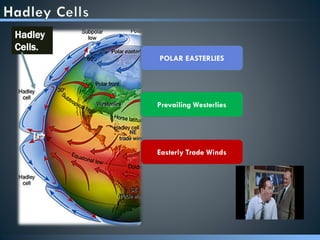 POLAR EASTERLIES
Prevailing Westerlies
Easterly Trade Winds
Hadley
Cells.
 