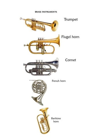 Wind instruments | DOCX