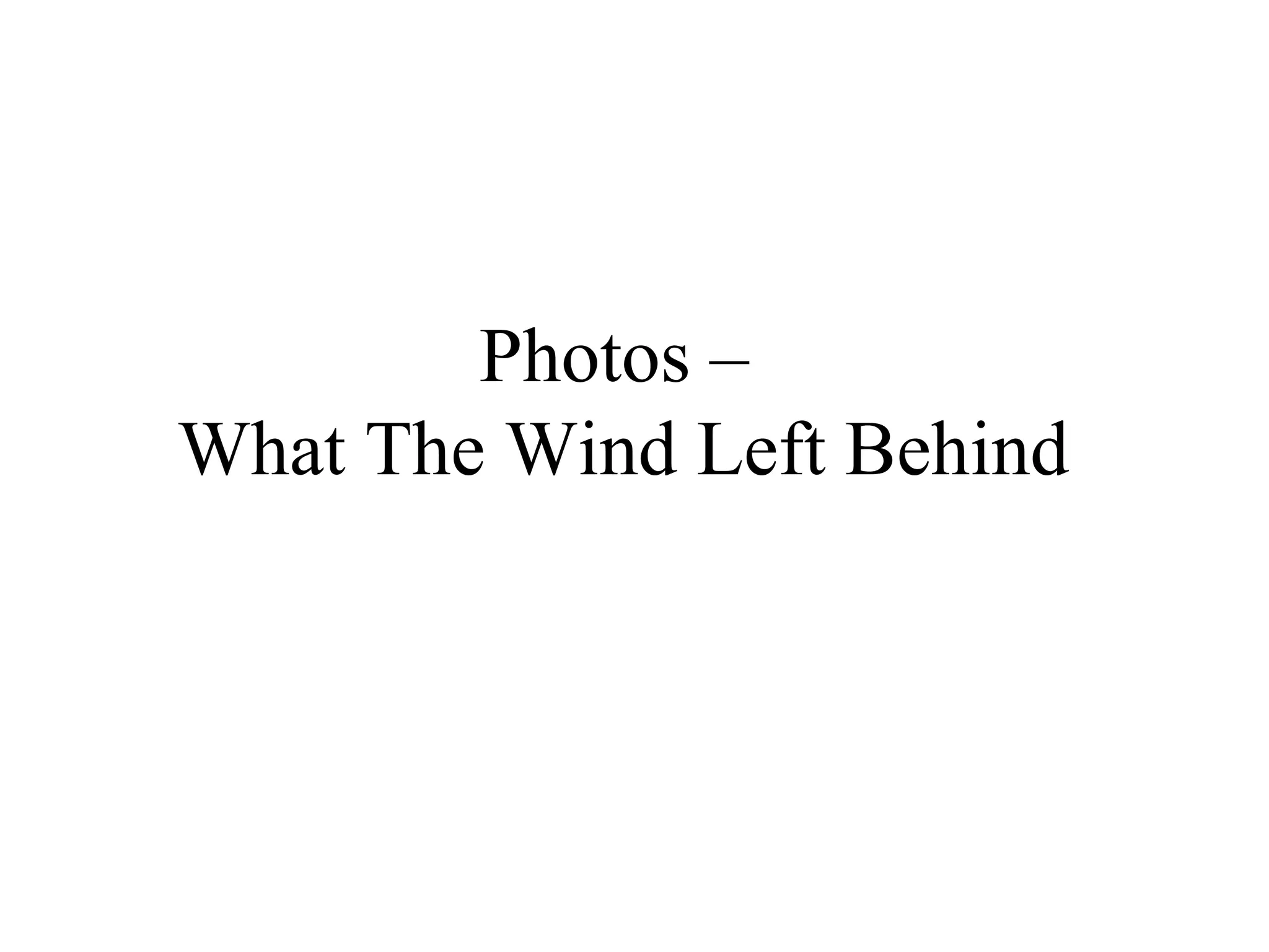 Photos –
What The Wind Left Behind
 