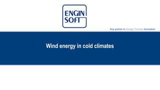 Wind energy in cold climates
 