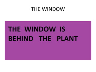 THE WINDOW 
