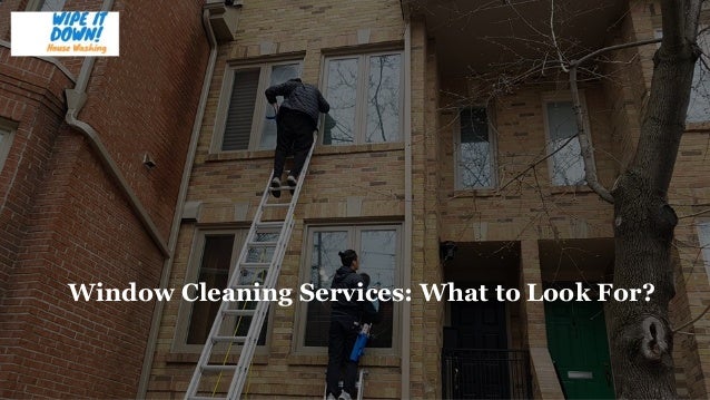 Window Cleaning Services: What to Look For?
 