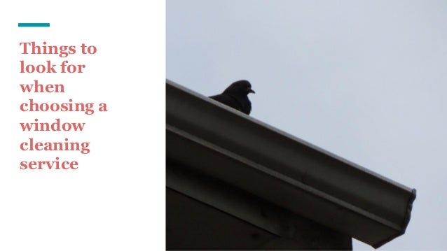 Things to
look for
when
choosing a
window
cleaning
service
 