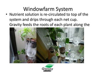 DIY WindowFarm presentation by Gil Lopez for the @QueensLibrary | PPT