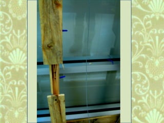 Window Farms Food Security Project