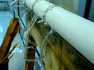 Window Farms Food Security Project