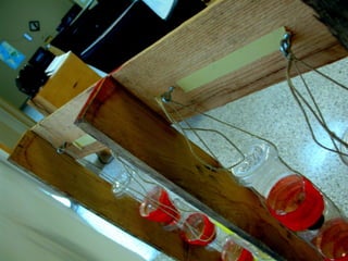 Window Farms Food Security Project