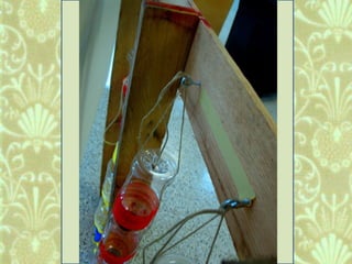 Window Farms Food Security Project