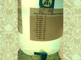 Window Farms Food Security Project