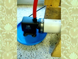 Window Farms Food Security Project