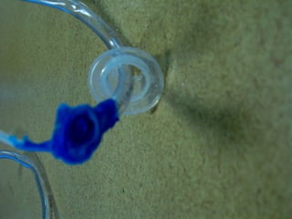 Window Farms Food Security Project