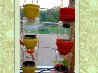 Window Farms Food Security Project