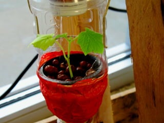 Window Farms Food Security Project