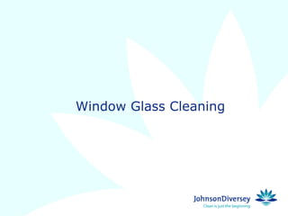 Window Glass Cleaning
 