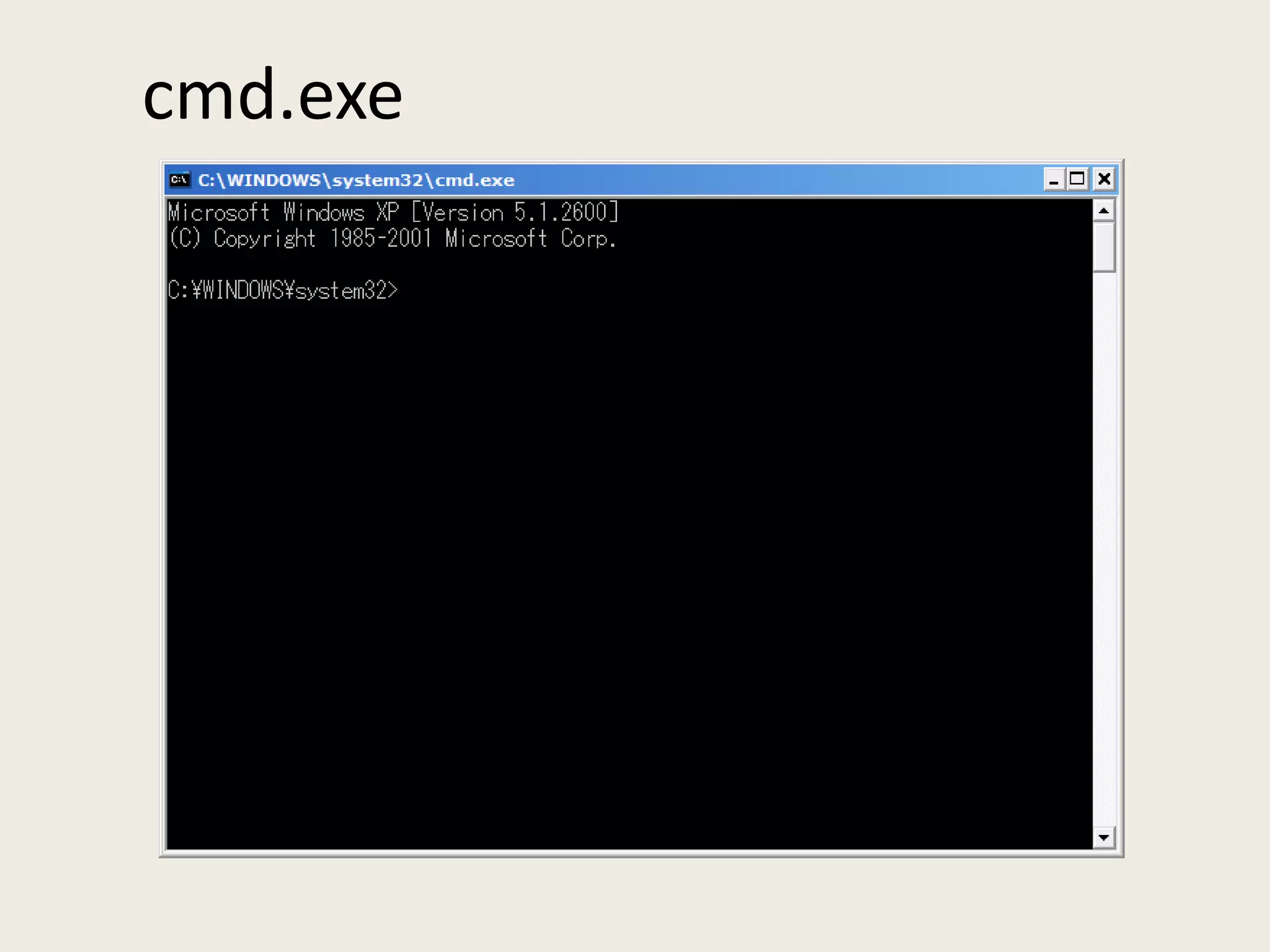 cmd.exe 