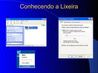 Conhecendo a Lixeira
 
