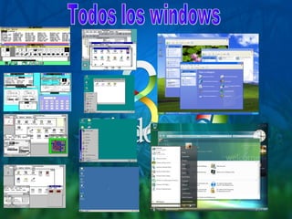 Windows 8