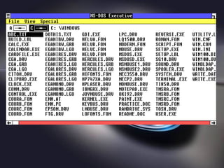 Windows 1