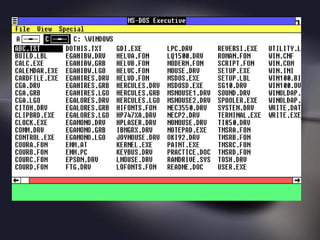 Windows 1