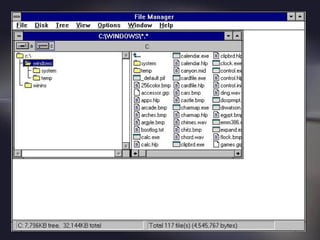 Windows 1
