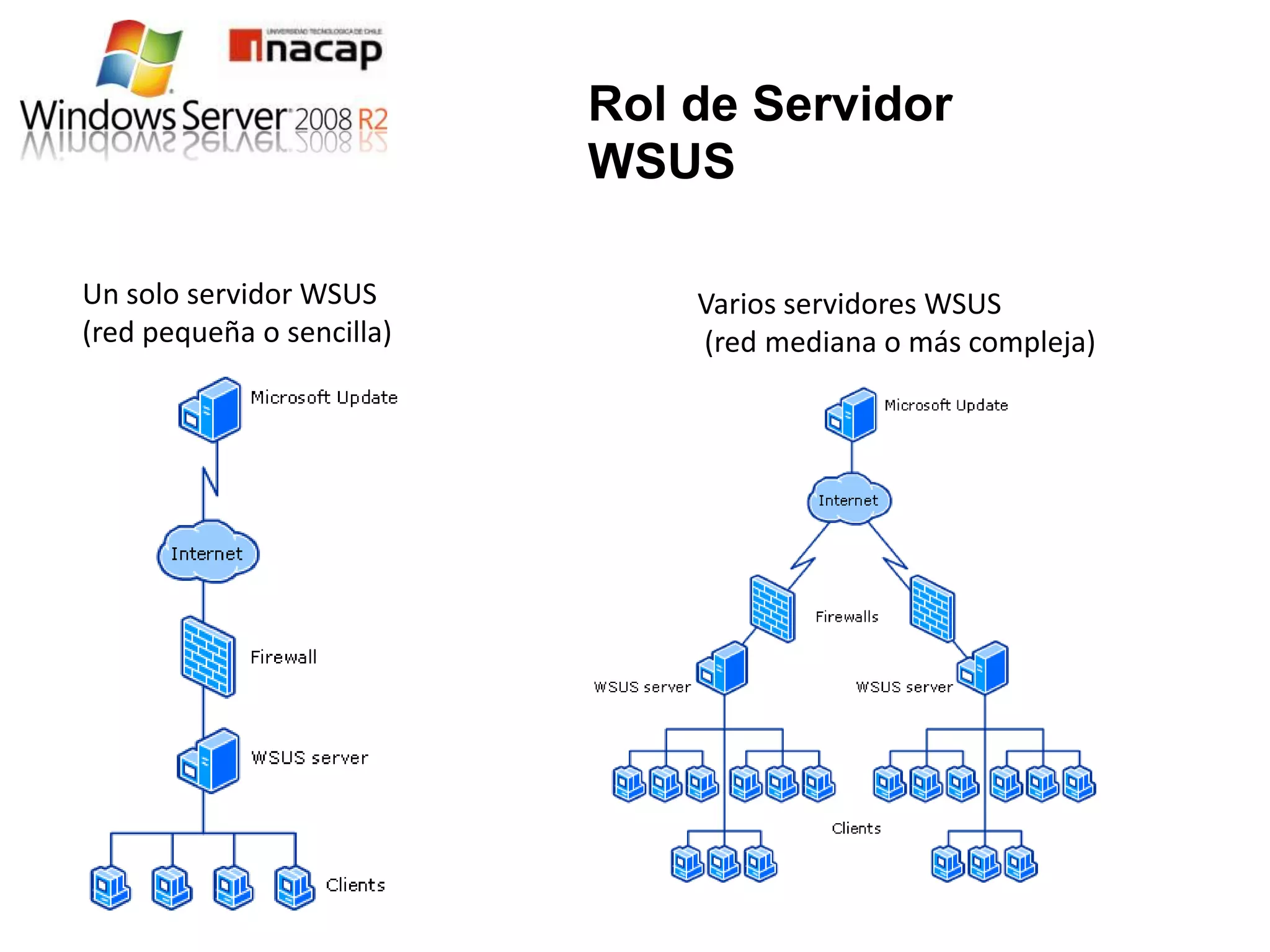 Rol de Servidor
                           WSUS

Un solo servidor WSUS          Varios servidores WSUS
(red pequeña o sencilla)       (red mediana o más compleja)
 