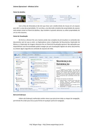 Sistema Operacional – Windows Se7en                                                             13


Painel de detalhes




        Com a Área de Antevisão já não tem que clicar com o botão direito do mouse em um arquivo
para abrir a caixa das propriedades. Em vez disso, uma descrição completa das propriedades do arquivo
está sempre visível no Painel de detalhes. Aqui também é possível adicionar ou editar propriedades de
um ou mais arquivos.

Painel de Visualização

        De forma a oferecer-lhe uma maneira ainda mais completa de pré-visualizar os conteúdos dos
documentos sem ter que os abrir, os Exploradores como o Explorador de Documentos, Explorador de
Música e o Explorador de Imagens oferecem-lhe um Painel de Visualização opcional. Nas aplicações que
disponibilizem esta funcionalidade poderá navegar por pré-visualizações legíveis de vários documentos
ou antever alguns segundos do conteúdo de arquivos de mídia.




Barra de Endereços

        A Barra de Endereços melhorada contém menus que percorrem todas as etapas de navegação,
permitindo-lhe andar para trás ou para frente em qualquer ponto de navegação.




                         Prof. Wagner Bugs – http://www.wagnerbugs.com.br
 