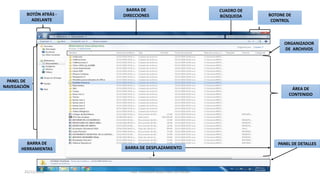 25/11/2016 ING. VLADIMIR MARTINEZ REYNOSA
ÁREA DE
CONTENIDO
BOTÓN ATRÁS -
ADELANTE
PANEL DE
NAVEGACIÓN
BARRA DE
DIRECCIONES
CUADRO DE
BÚSQUEDA BOTONE DE
CONTROL
PANEL DE DETALLES
BARRA DE DESPLAZAMIENTO
BARRA DE
HERRAMIENTAS
ORGANIZADOR
DE ARCHIVOS
 