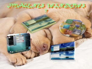 Windows 7.Pptx Evelin