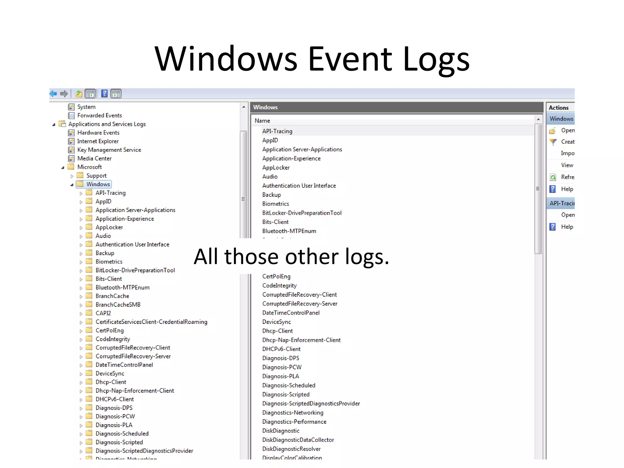 Windows Event Logs




  All those other logs.
 