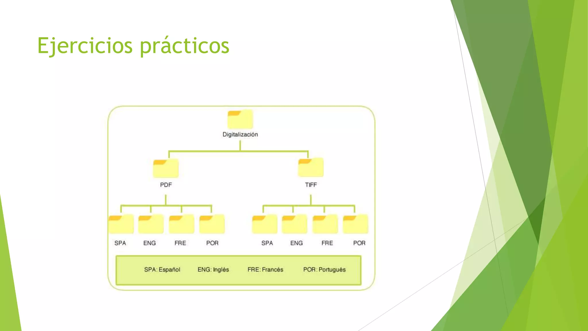 Ejercicios prácticos
 