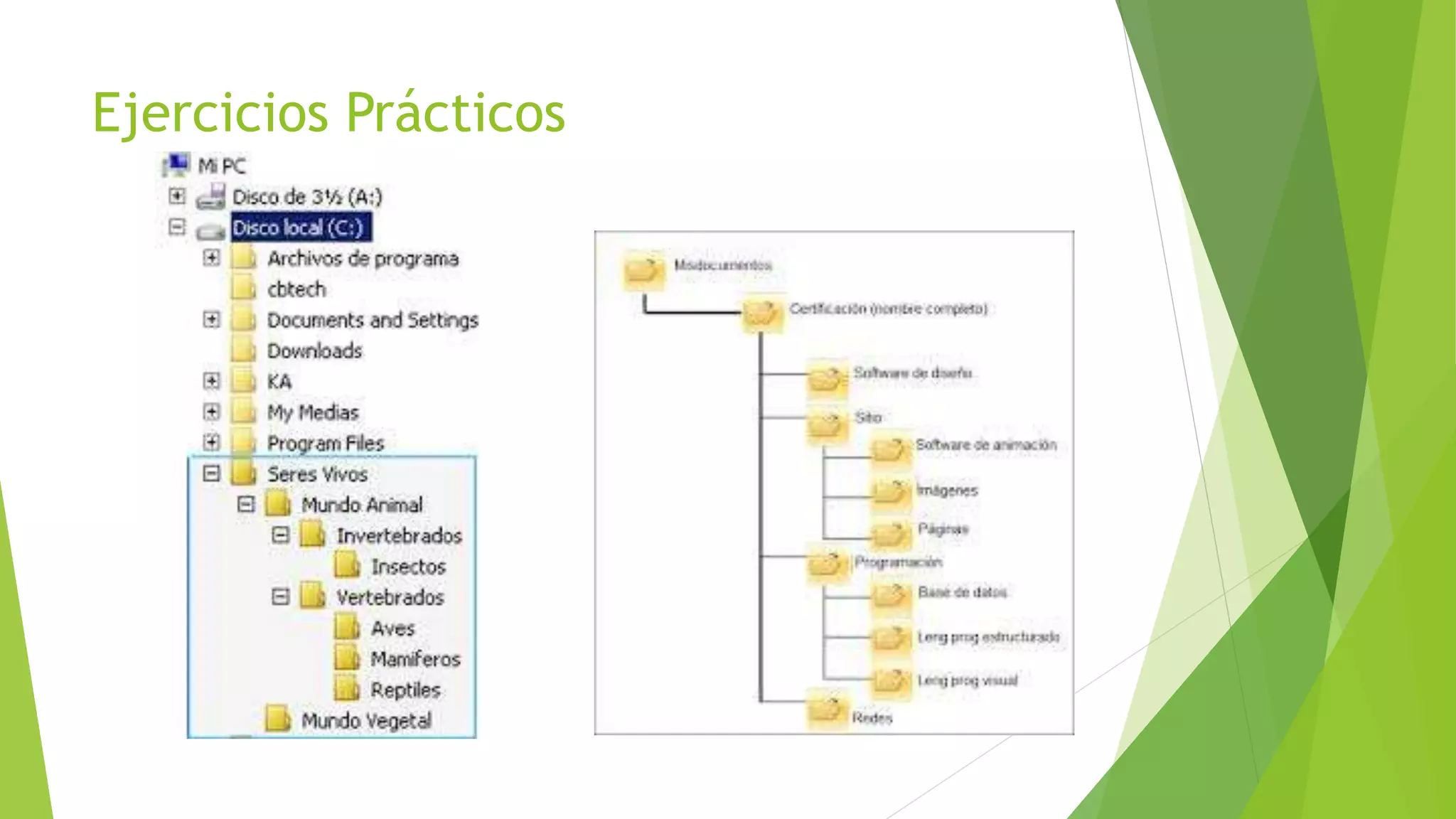 Ejercicios Prácticos
 