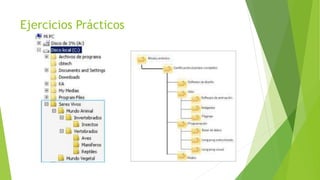 Ejercicios Prácticos
 