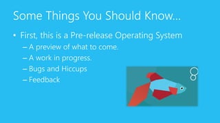 Windows 8 Consumer Preview | PDF