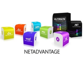 NETADVANTAGE
 