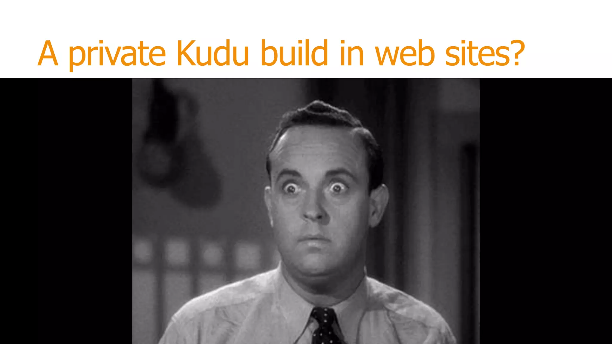 A private Kudu build in web sites?

 