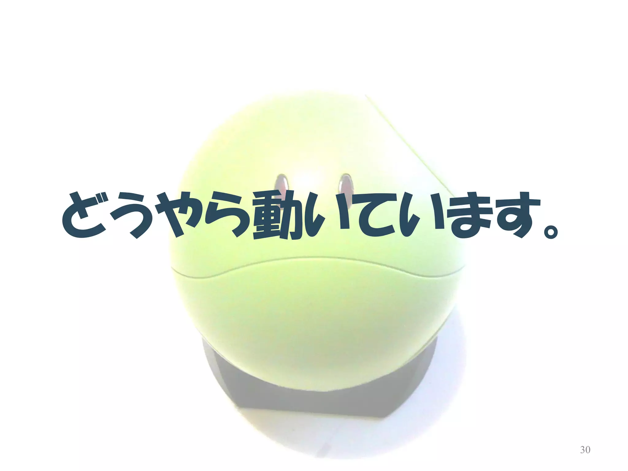 どうやら動いています。 
30  