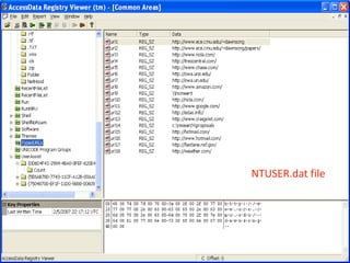 NTUSER.dat file
 