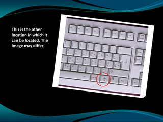 Windows icon | PDF