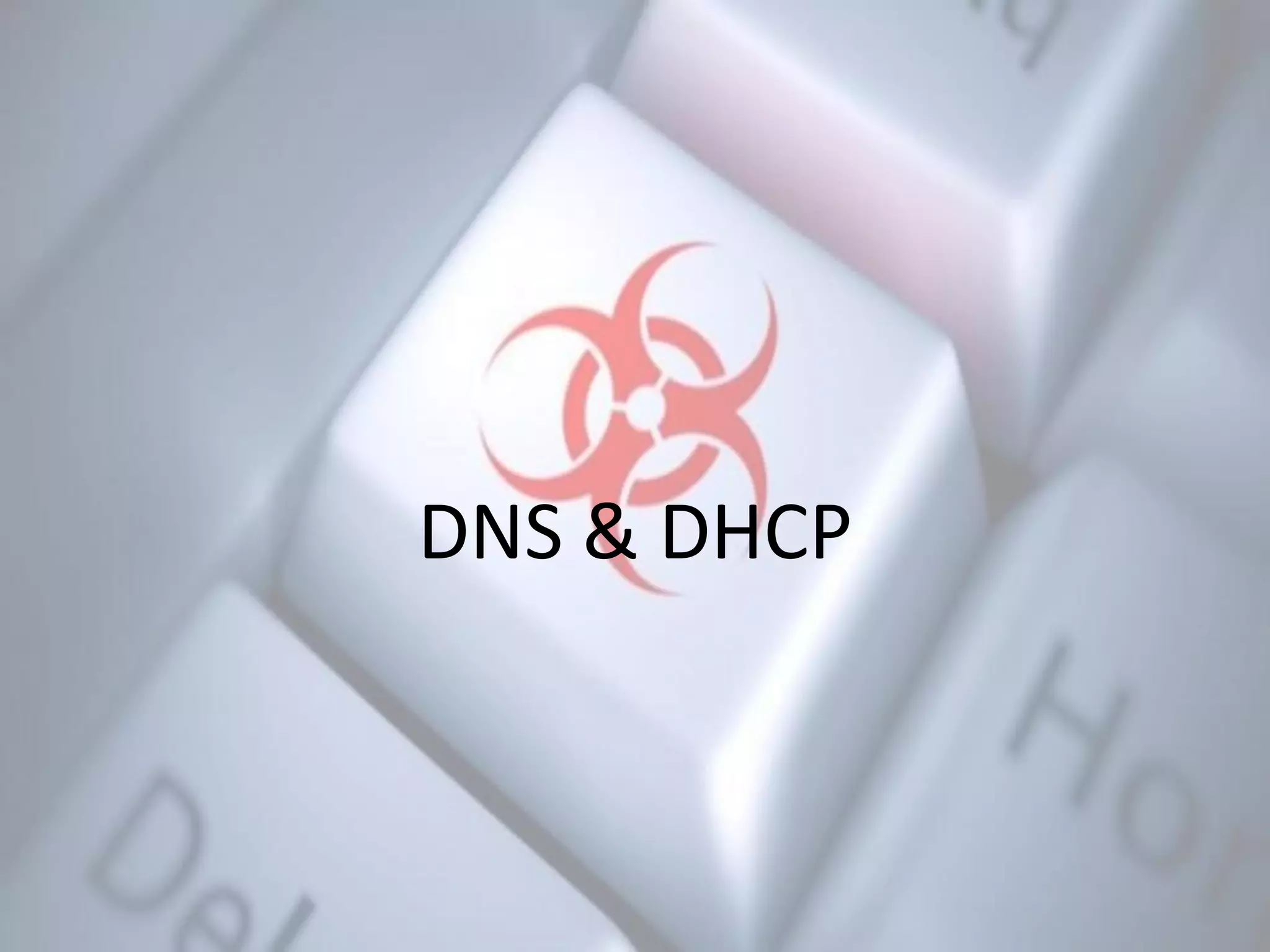 DNS & DHCP
 
