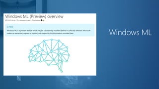 Windows ML
 