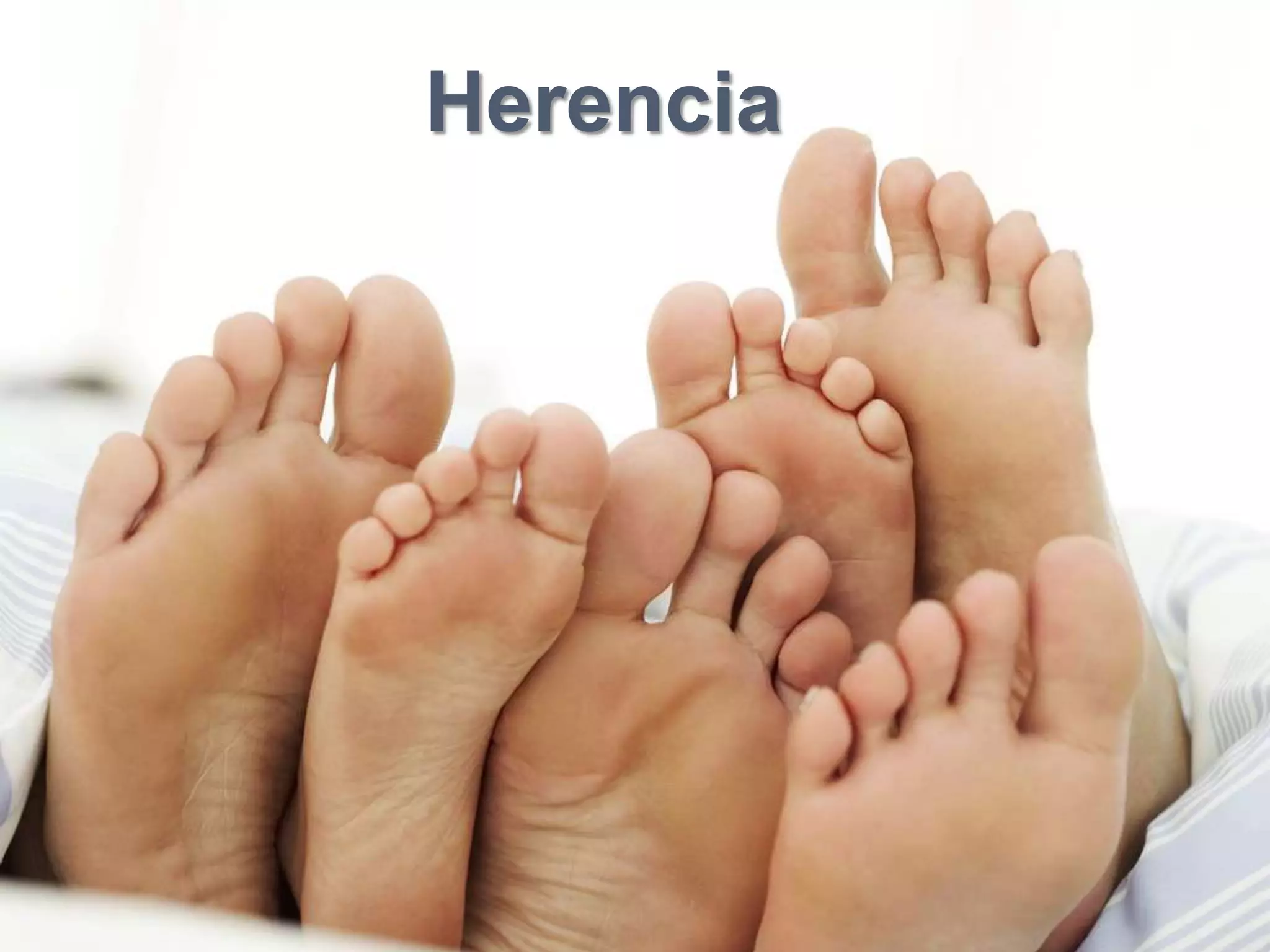 Herencia
 