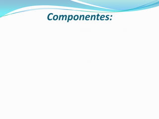 Componentes:
 