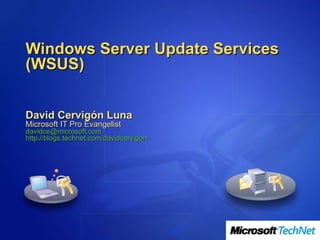 Windows Server Update Services (WSUS) David Cervigón Luna Microsoft IT Pro Evangelist [email_address] http://blogs.technet.com/davidcervigon 