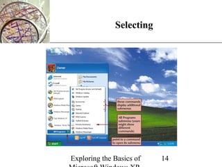 XP
              Selecting




Exploring the Basics of   14
 