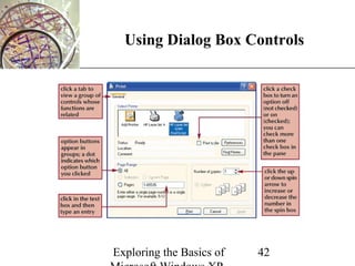 XP
  Using Dialog Box Controls




Exploring the Basics of   42
 