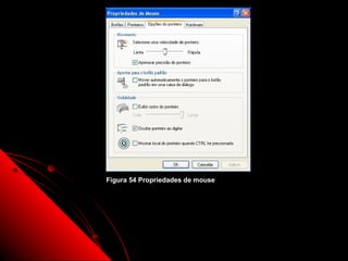 Figura 54 Propriedades de mouse




                                  84
 