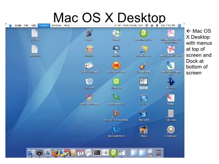 Windows Xp And Mac Os X
