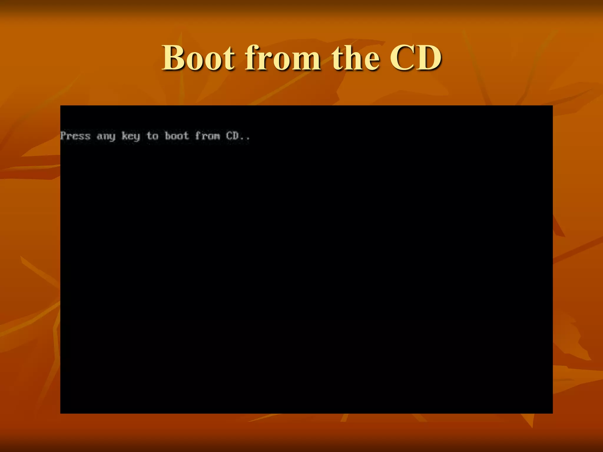 Boot from the CD
 