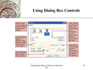 Using Dialog Box Controls 