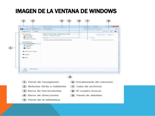 Windows y sus partes